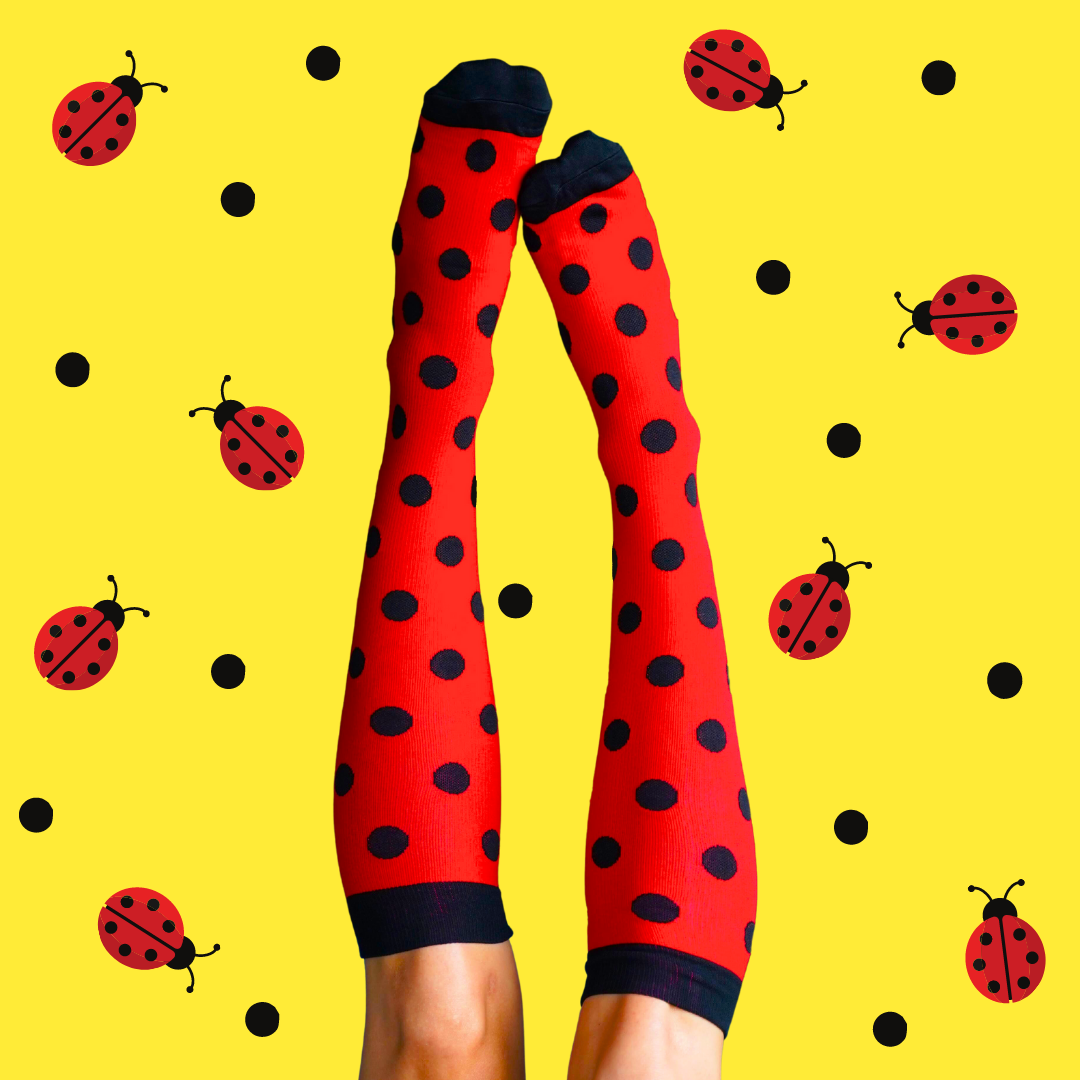 Classic Lady Beetle Compression Socks
